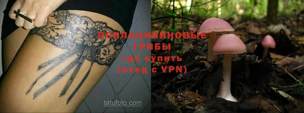 apvp Ельня