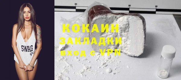 прущие грибы Зерноград