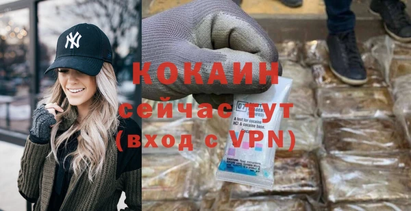 прущие грибы Зерноград
