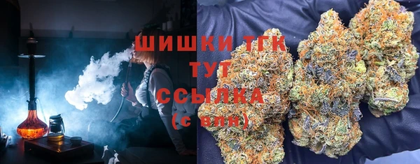 гидра Зеленокумск