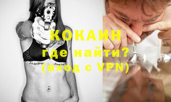прущие грибы Зерноград
