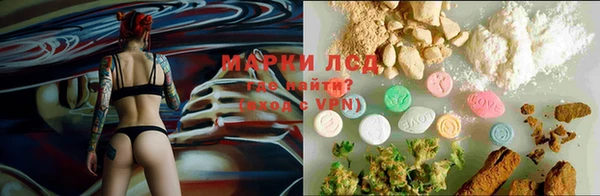 гидропоника Елизово