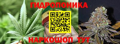 трава Камень-на-Оби