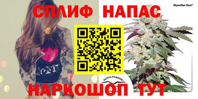 наркотики Гагарин
