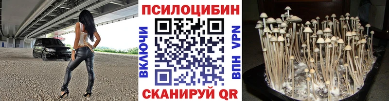 Галлюциногенные грибы прущие грибы  хочу наркоту  даркнет как зайти  Кыштым 