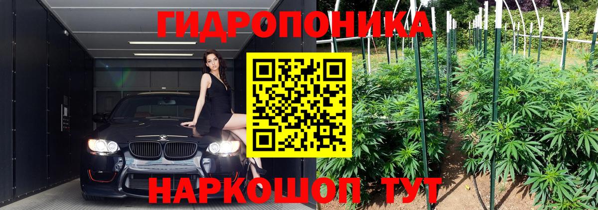 Каннабис планчик  Вход с VPN  Конопля тримм  Кыштым  Конопля LSD WEED 